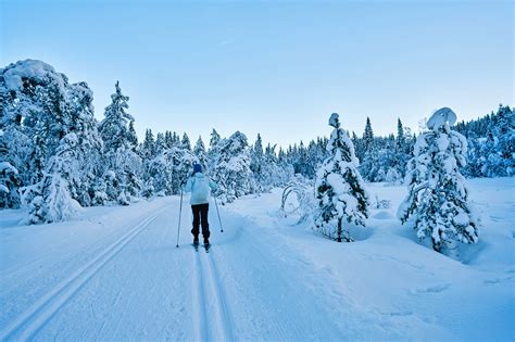 10 Best Places To Ski In Oslo Where To Go Skiing And Snowboarding In