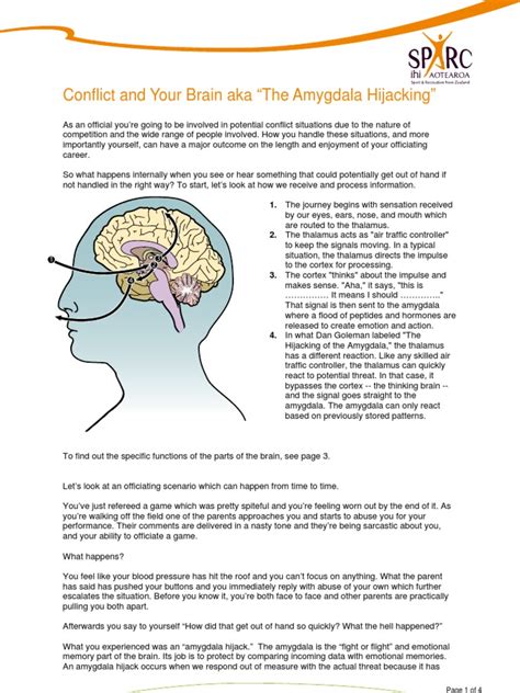 Amygdalae Hijacking Telencéfalo Amígdala