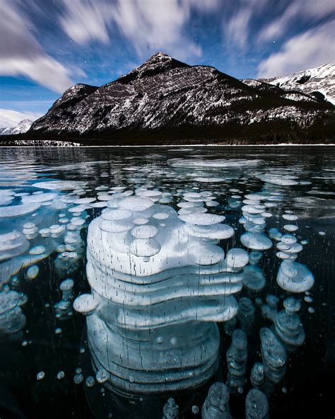 Frozen Methane Bubbles At Barrier Lake Kananaskis Alberta Canada R