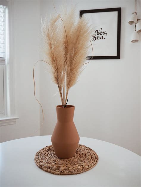 Bundle Of 3 Medium Pampas Grass Etsy Pampas Grass Boho House Decor