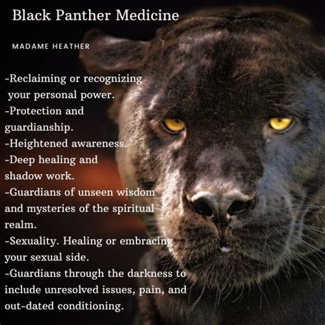 Black Panther Spirit Animal | Black jaguar animal, Spirit animal