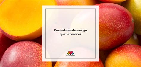 Propiedades del mango que no conoces MERCAVALÈNCIA