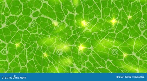 Abstract Green Background Or Plant Cells Texture Under A Microscope