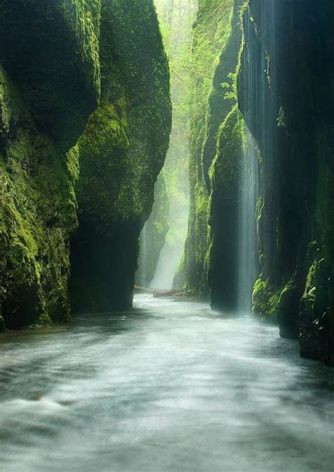 Rainforest Canyon Oneonta Gorge Oregon River Marc Adamus · Art