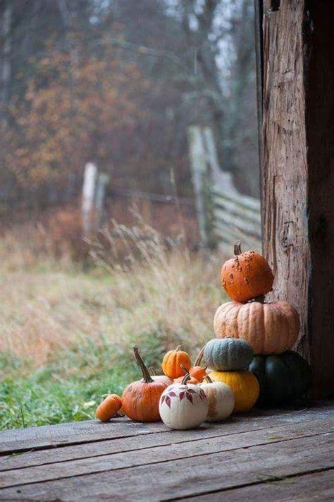 Pin By Becky Cagwin On Seasons Amazing Autumn Fall Harvest Fall