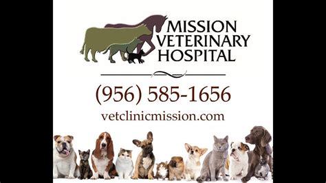 Welcome To Mission Veterinary Hospital Youtube