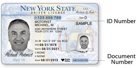 Handheld Drivers License Id Scanner Idetect
