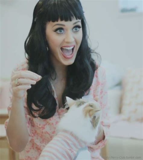 love katy s hair in this pic celebrities with cats beautiful celebrities katy perry