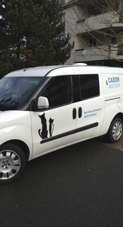 Cador Et Mistigri Taxi Animalier Transport Pour Chien Et Chat Polytrans