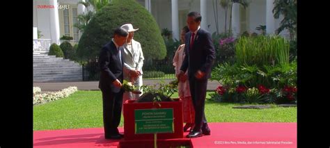 Presiden Jokowi Dan Kaisar Jepang Naruhito Tanam Pohon Gaharu Di Istana