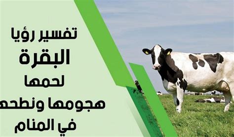 We did not find results for: تفسير حلم رؤية البقرة في المنام ودلالتها بالتفصيل - تفسير ...