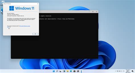 Windows 11 Dev 219961 頭城國小資訊組