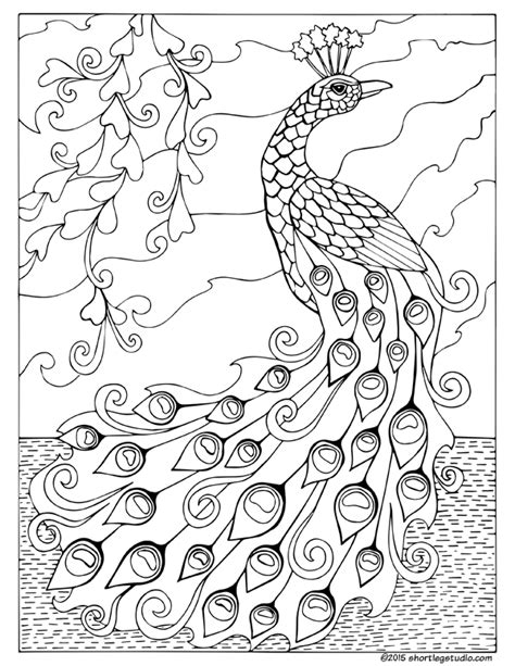 What are the different types of mandalas used for? Flora and Fauna Coloring Sheets — Short Leg Studio