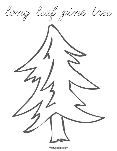 Pine tree is native to the western united states. long leaf pine tree Coloring Page - Cursive - Twisty Noodle