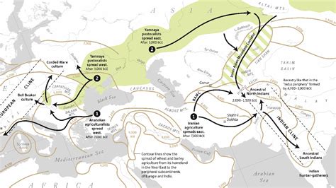 Aryan Migration Scientists Use Dna To Explain Origins Of Ancient