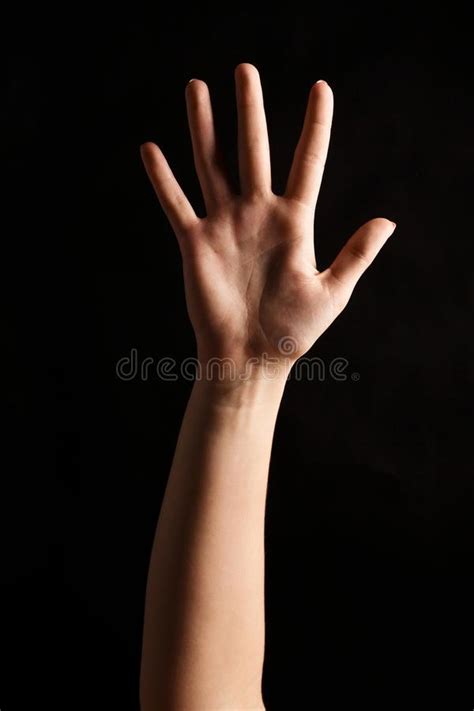 Female Hand Shows Number Five Isolated At Black Stock Photo Image Of