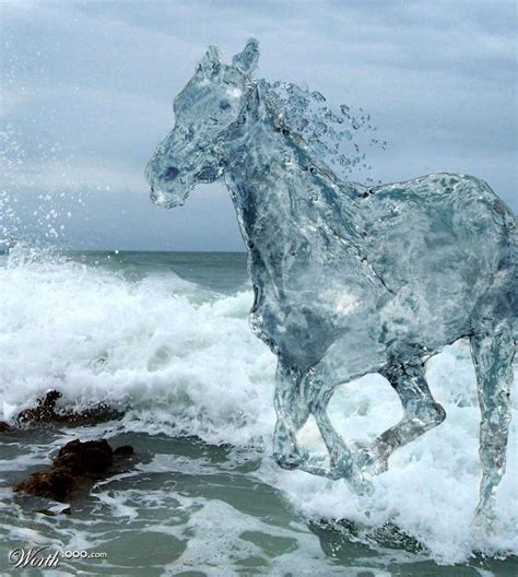 Water Element In 2020 Water Art Unbelievable Pictures Horses