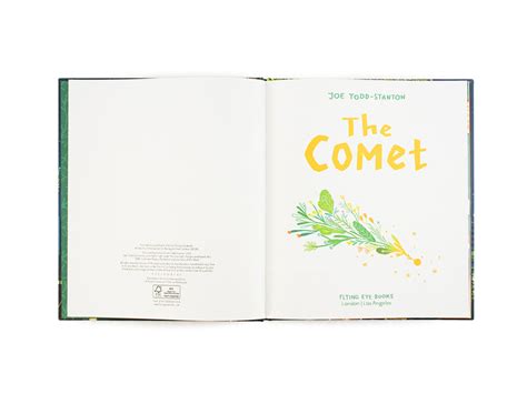 The Comet By Joe Todd Stanton Earth Toys