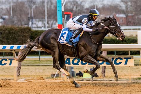 Horse Racing Picks Saturday February 8th Total Sports Picks