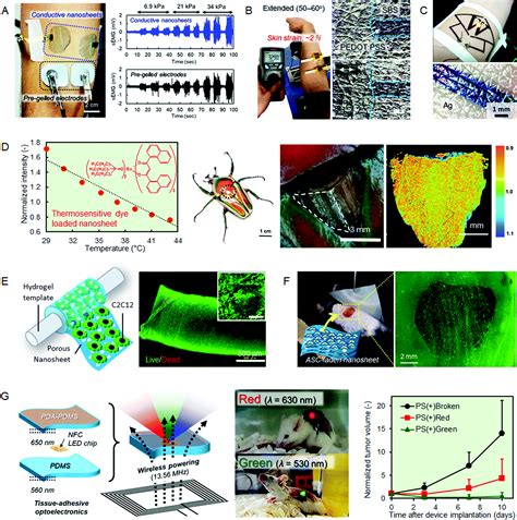 Tue, aug 17, 2021, 5:07am edt Printed nanofilms mechanically conforming to living bodies ...