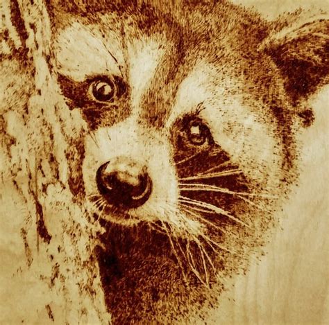 Raccoon Original Wood Burning Picture Pyrography Minimalist Etsy