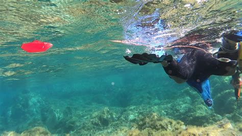 Snorkeling In Sardinia Youtube