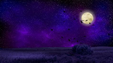 Full Moon on Purple Night HD Wallpaper | Background Image | 3268x1839
