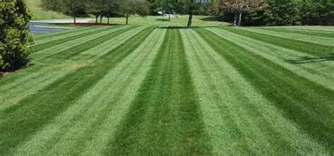 Lawn Mowing And Grass Cutting Services Raleigh Nc