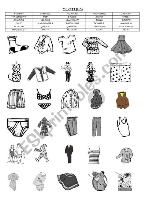 Clothes Vocabulary Matching Exercise Esl Worksheet By Brolman02