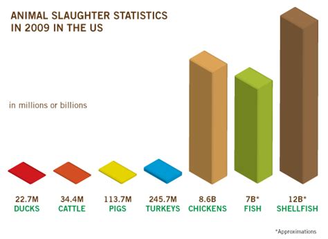 59 Billion Land And Sea Animals Killed For Food In The Us