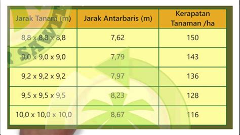 Rumus Jarak Tanam Sawit Sinau