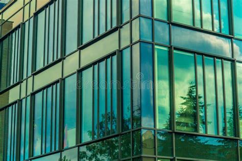 Sky And Trees Reflected In Windows Of Modern Office Building Finance