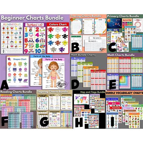 Bundle Kids Educational Wall Chart Set Laminated A4 Alphabet