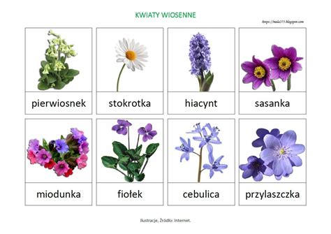 Maybe you would like to learn more about one of these? BLOG EDUKACYJNY DLA DZIECI: KWIATY WIOSENNE - PLANSZA | Montessori projects, Plant lap book ...