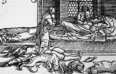 Today with rapid communication, transportation, extremely effective selective pesticides, computers and other scientific aids, we can overcome pest control obstacles that were so far insurmountable. Rats Didn't Spread the Black Death—It Was Humans - HISTORY