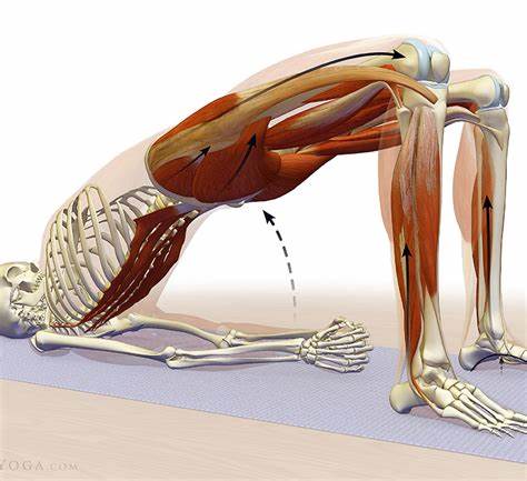 Лишний вес: 6 упражнений, ускоряющих метаболизм Картинка - Лишний вес: 6 упражнений, ускоряющих метаболизм