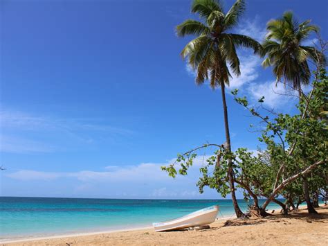 Nuestras 8 Mejores Playas En Las Terrenas Atlantique Sud