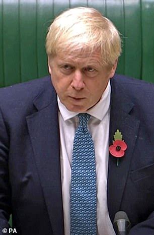 Your hair is all over the place and my mother wants to know why. mr johnson responded saying: 'I DO brush my hair!': Boris Johnson APOLOGISES for his ...