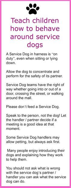 Teach Children How To Behave Around Service Dogs Safety Training