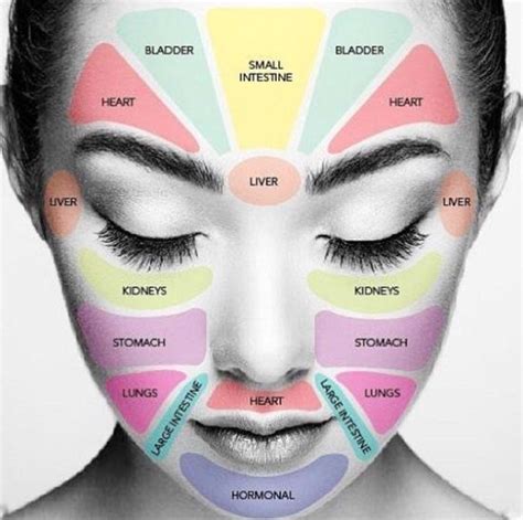Face Map For Health Problems What Part Of Your Body Is Sick And The