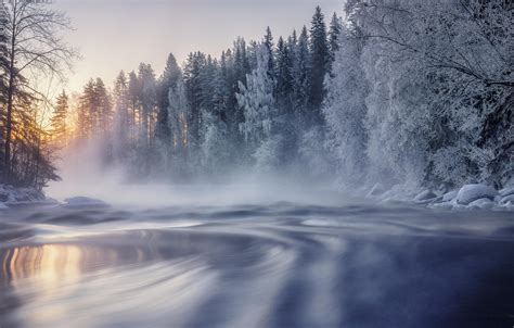 Wallpaper Winter Frost Forest Snow Trees Lake Dawn Morning