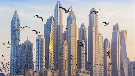 Architecture Building Skyscraper Cityscape United Arab Emirates