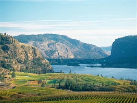 Wines Of Canada Discover The Okanagan Valley In British Columbia