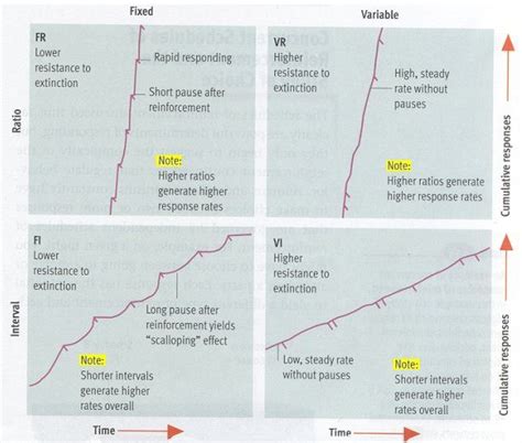 How To Describe The Behavior Of A Graph