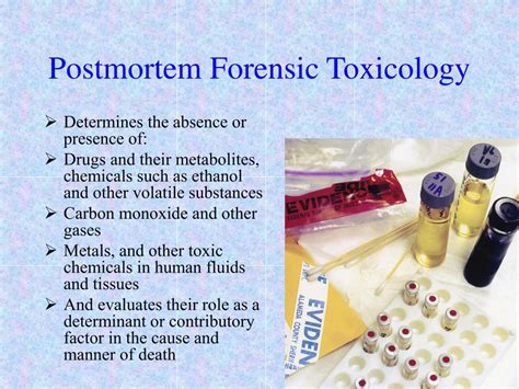 Ppt Forensic Toxicology And Alcohol Powerpoint Presentation Free