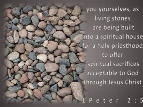 Behold, i am laying in zion a stone, a cornerstone chosen and precious, and whoever believes in him will not be put to shame. 1 Peter 2:5 - Verse of the Day