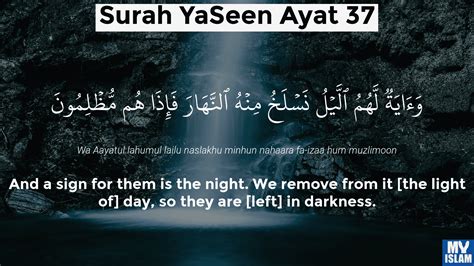 Surah Yaseen Ayat 36 3636 Quran With Tafsir My Islam