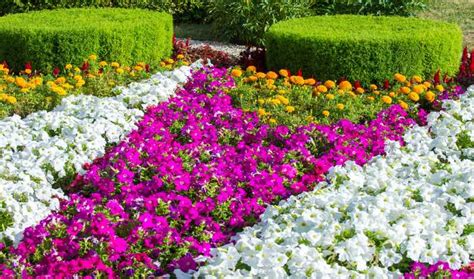 16 Fantastic Flower Garden Ideas Youll Fall In Love With