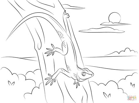 I will try and do a few more coloring pages over the weeks. Gecko on A Tree coloring page | Free Printable Coloring Pages