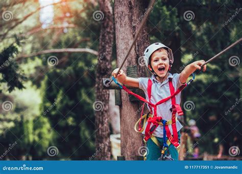Little Boy Climbing In Adventure Activity Park Stock Image Image Of